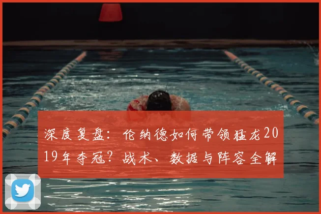 深度复盘:伦纳德如何带领猛龙2019年夺冠?战术、数据与阵容全解析